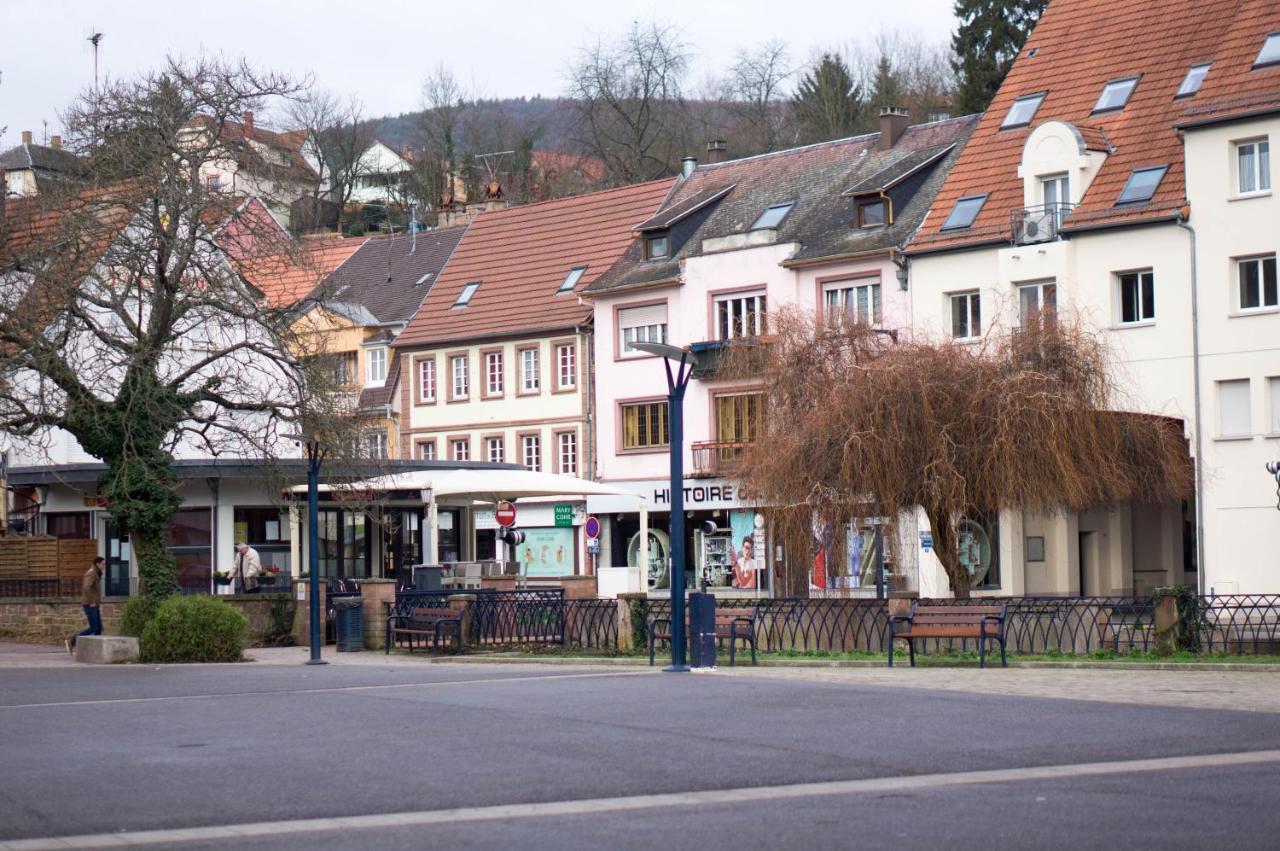 Meuble Tout Confort, Avec Terrasse Niederbronn-les-Bains Exterior photo